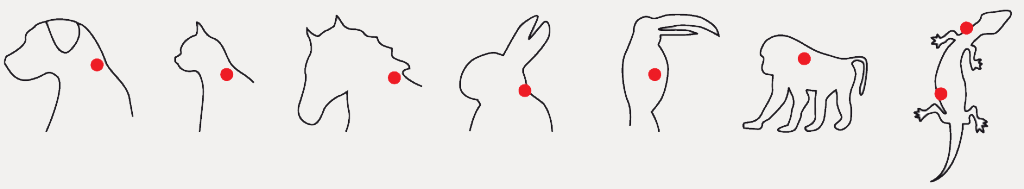 chip http://datatagid.com.br/wp-content/uploads/2022/04/chip.png